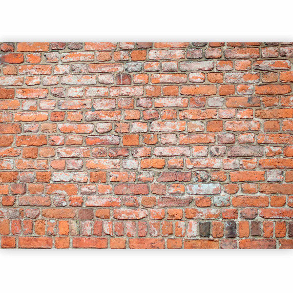 Fototapeta flizelinowa Premium Artgeist 155g/m2 rolka 1 szt 544319