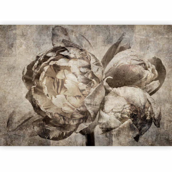 Fototapeta flizelinowa Premium Artgeist 155g/m2 rolka 1 szt 544949