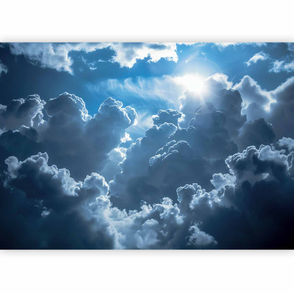 Fototapeta flizelinowa Premium Artgeist 155g/m2 rolka 1 szt 545841