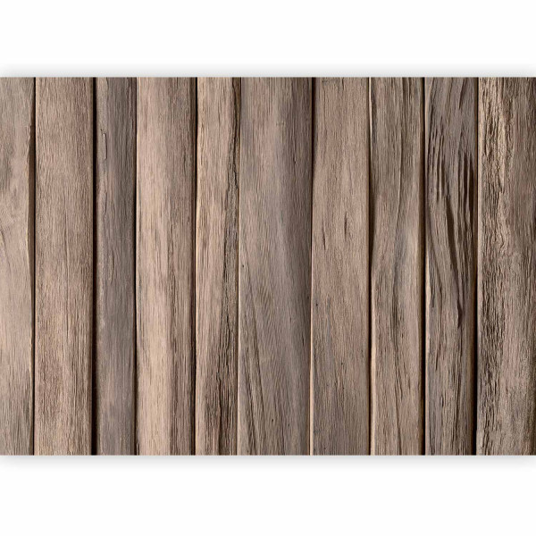 Fototapeta flizelinowa Premium Artgeist 155g/m2 rolka 1 szt 548695