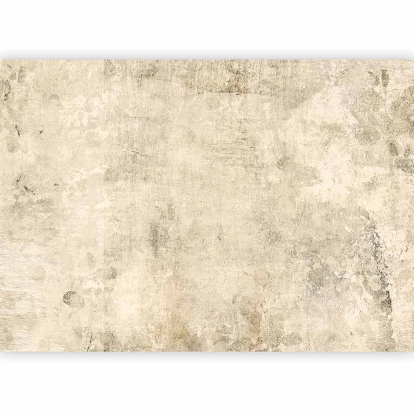 Fototapeta flizelinowa Premium Artgeist 155g/m2 rolka 1 szt 549709