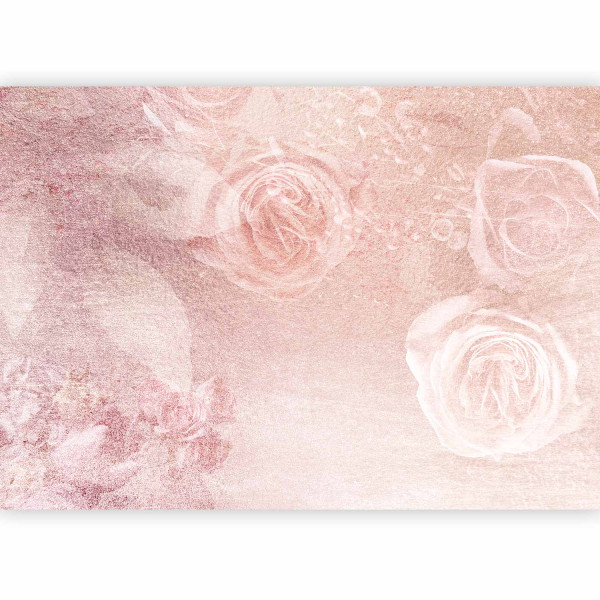 Fototapeta flizelinowa Premium Artgeist 155g/m2 rolka 1 szt 538602