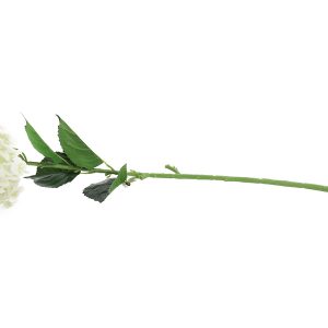 Hortensja gałązka 80 cm biała 82562 Hortensja gałązka 80 cm biała 82562