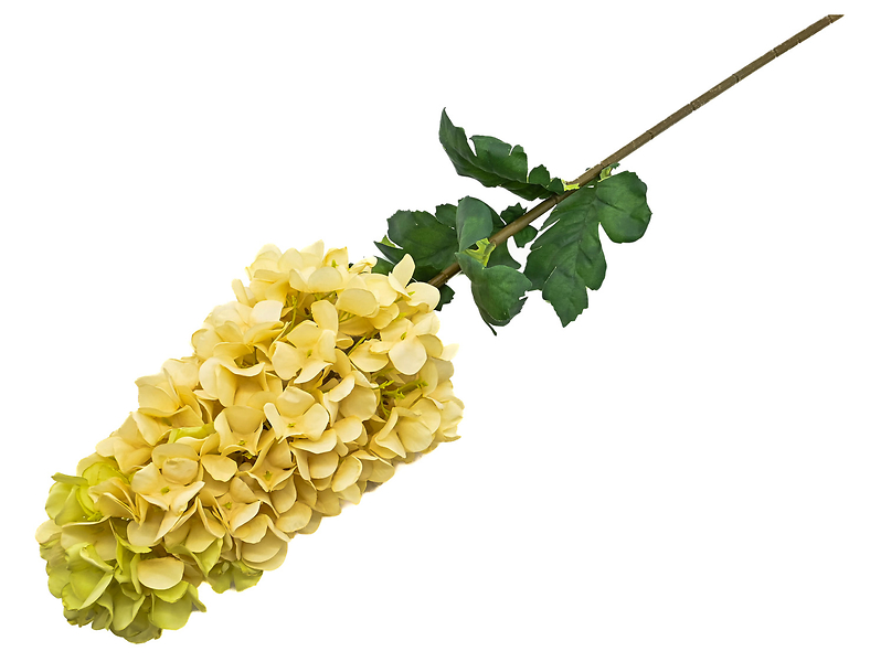 Hortensja gałązka 92 cm beżowa 325797